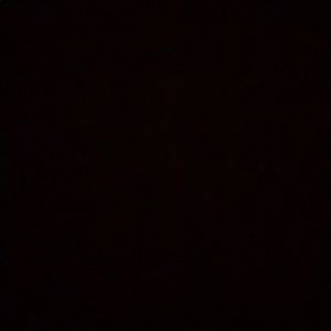 Meet your Posher, Raynier